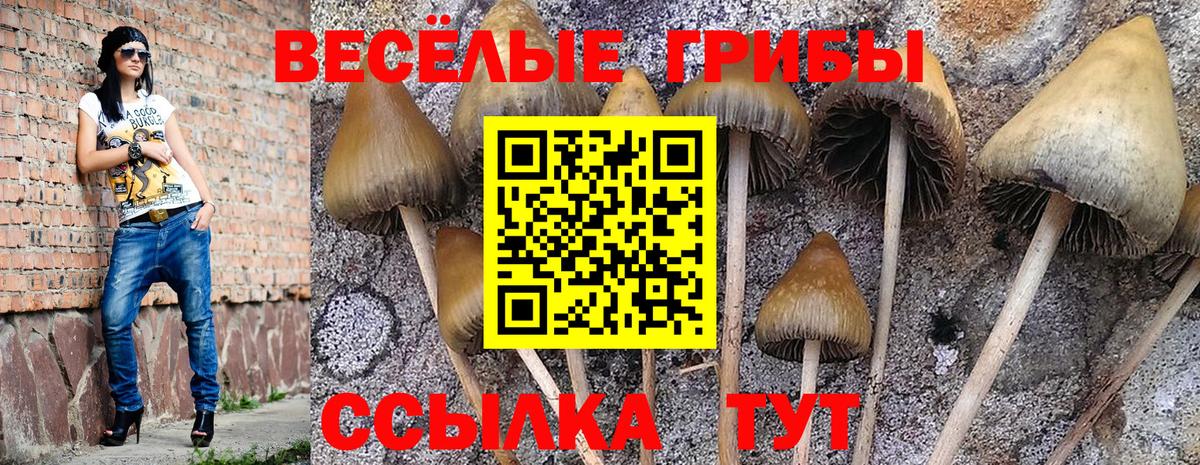 магазин продажи наркотиков  Псилоцибиновые грибы Magic Shrooms  Вход с VPN  Нефтекамск 
